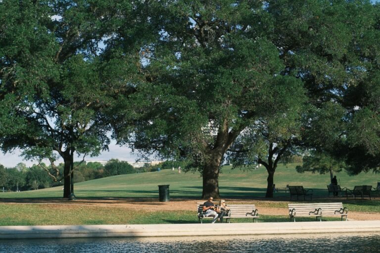 Discover Homes for Sale in Houston, TX